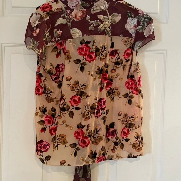 Alice + Olivia Sheer Floral Short-Sleeve Blouse in Beige and Burgundy - Picture 2 of 6